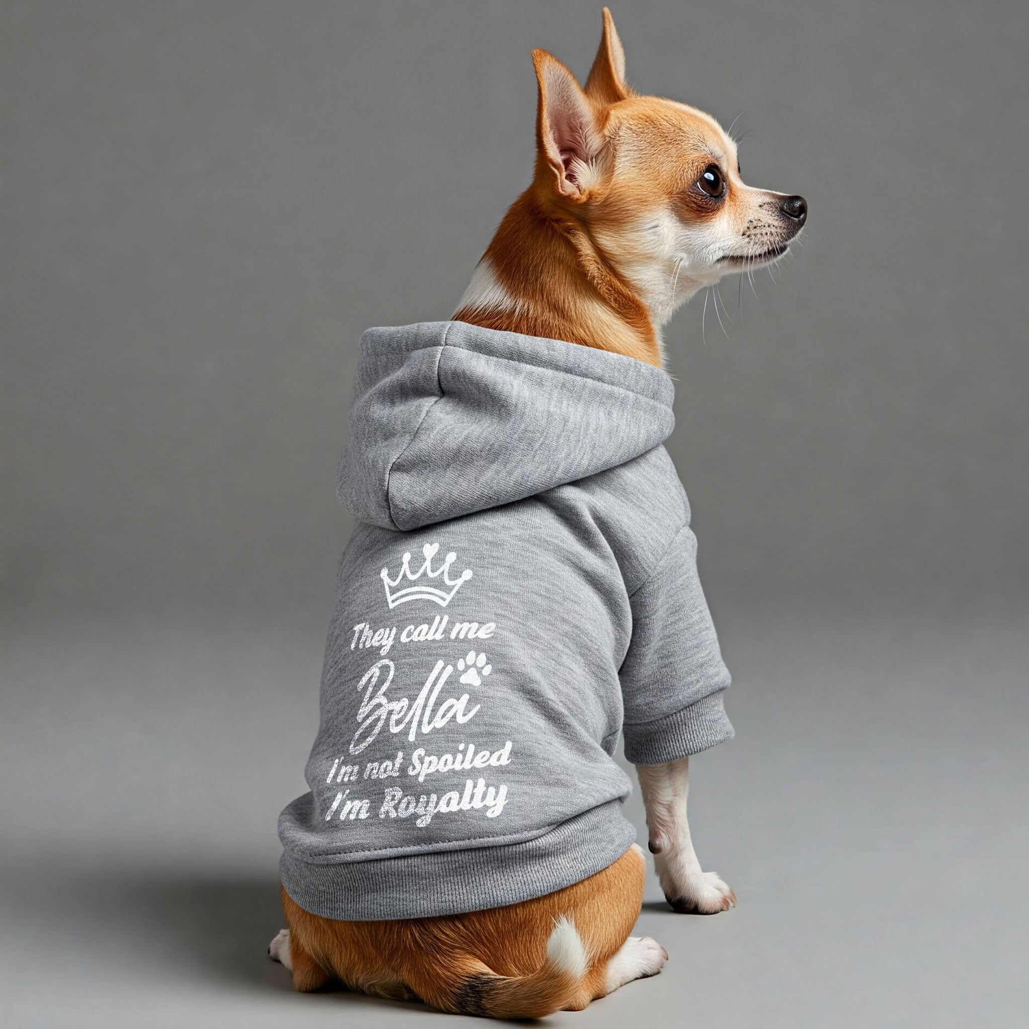 They call me Bella. Im not spoiled, Im royalty - personalized hoodie with your dog name – dog hoodie – dog clothes