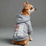 Chihuahua wearing an 'Everything Is Mine' hoodie