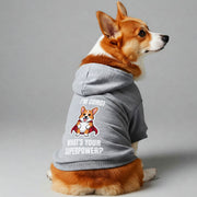 Corgi wearing a 'What's Your Superpower?' hoodie