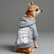 Chihuahua wearing an 'I'm Not Small, You're Just Big' hoodie