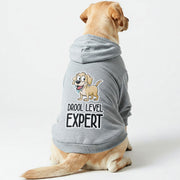 Labrador wearing a 'Drool Level: Expert' hoodie