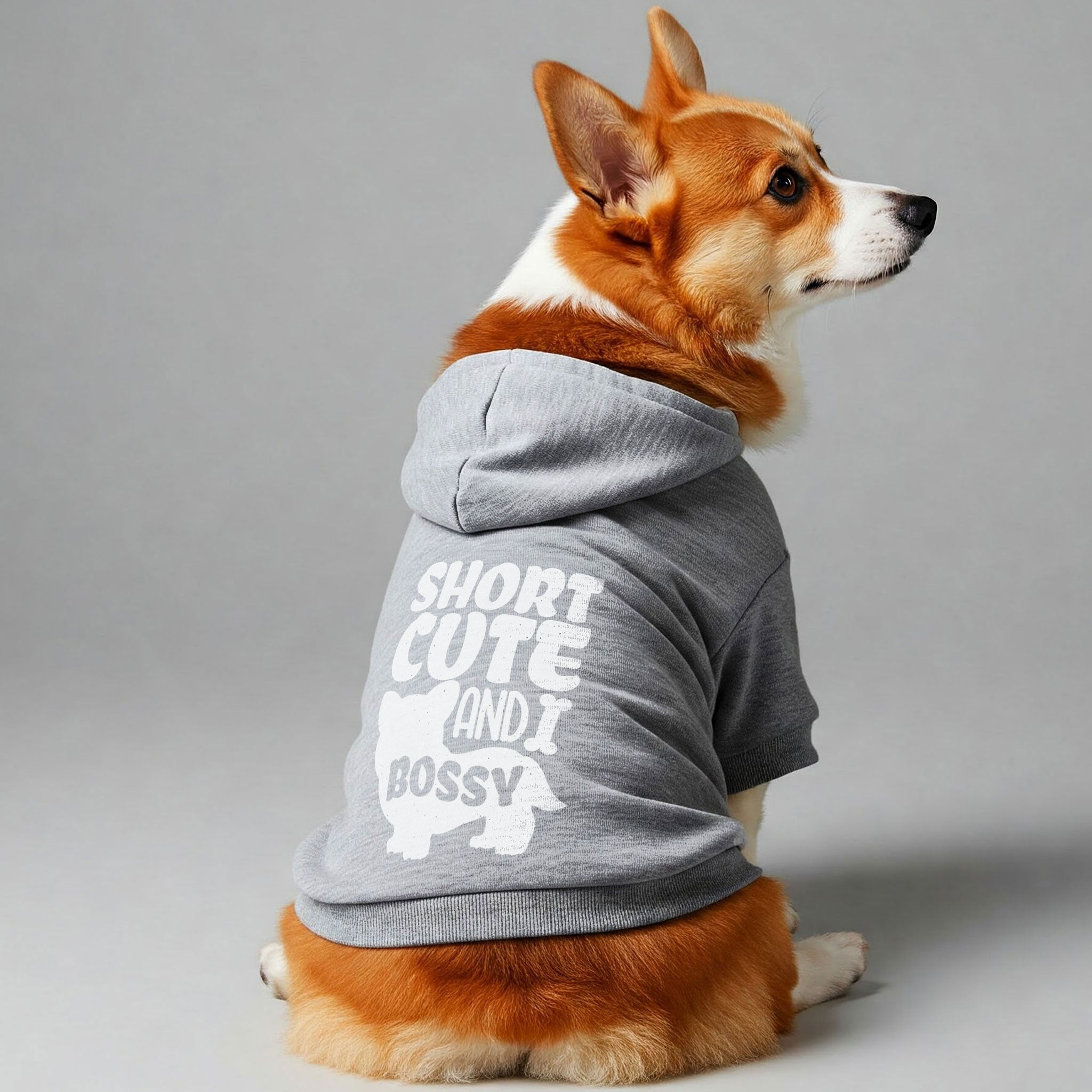 Short, Cute & Bossy - Corgi Hoodie - Dog Clothes
