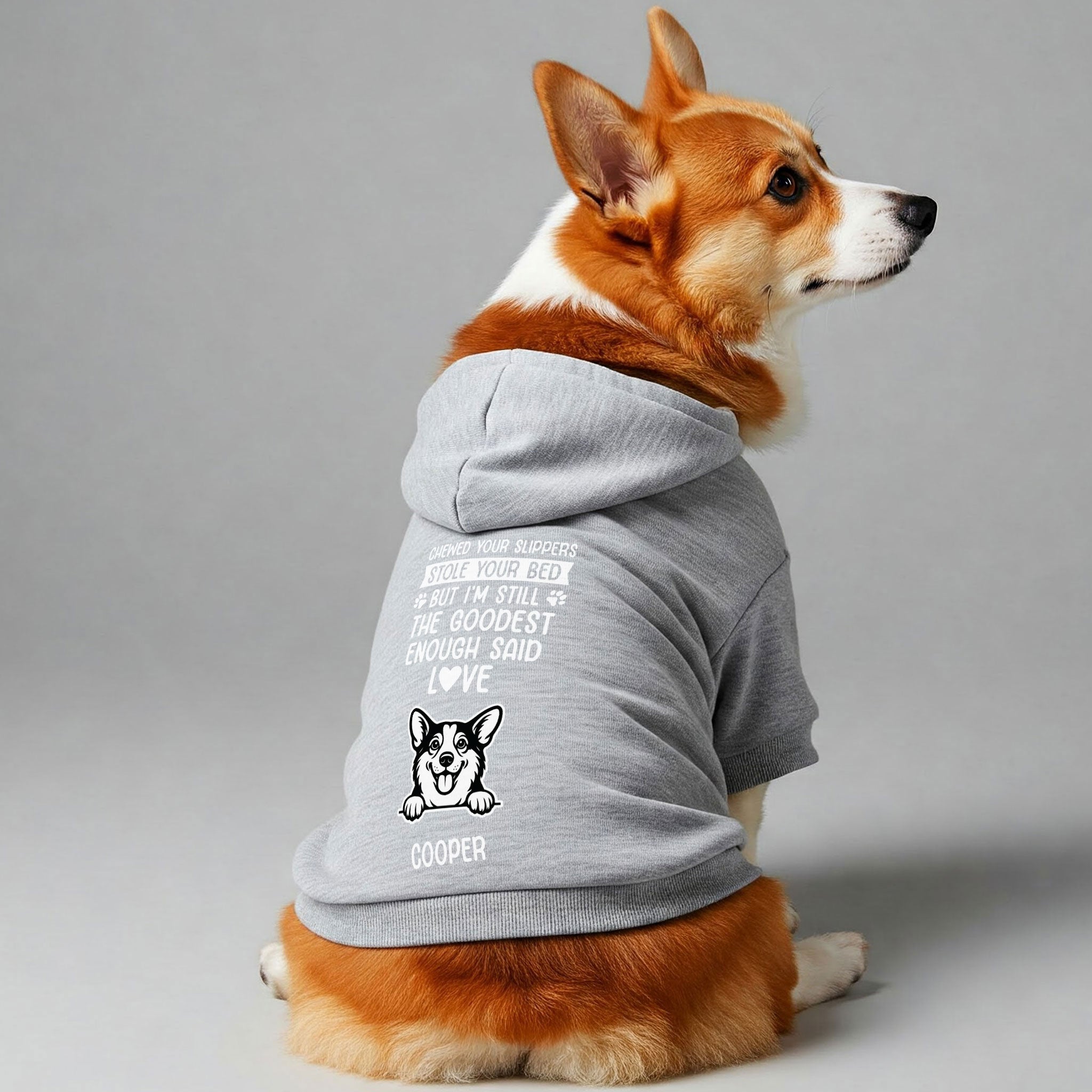 Chewed your slippers - personalized hoodie with your dog’s name and breed – dog hoodie – dog clothes