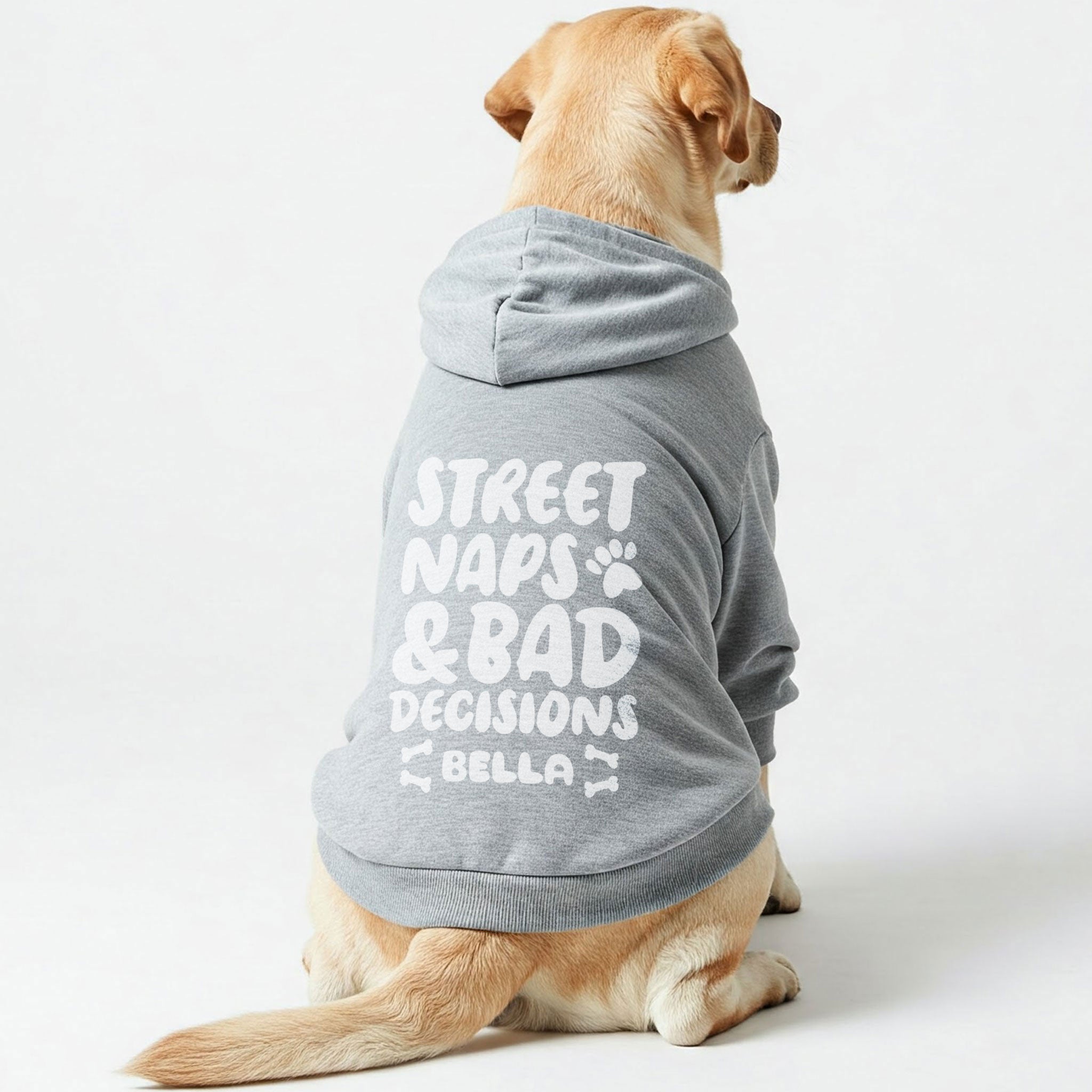 STREET NAPS & BAD DECISIONS - personalized hoodie with your dog name – dog hoodie – dog clothes