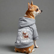Chihuahua wearing an 'I'll Bark for Hours' hoodie