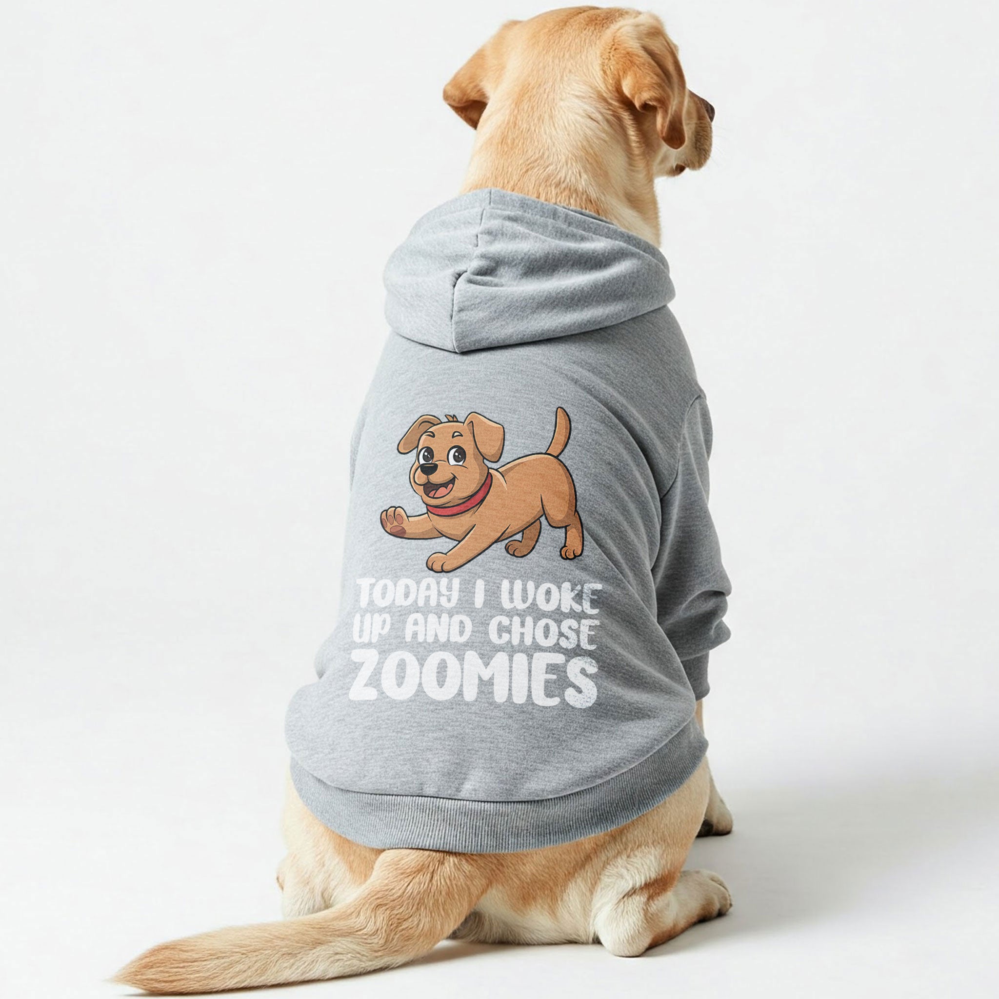 TODAY I WOKE UP AND CHOSE ZOOMIES - Labrador Hoodie - Dog Clothes