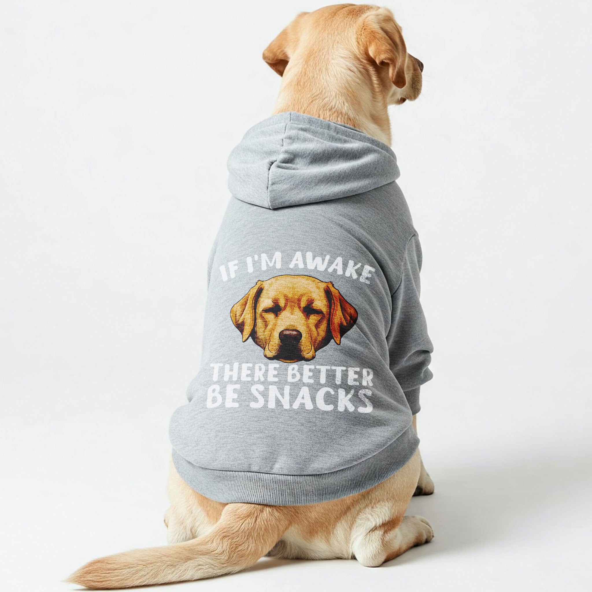 If Im awake, there better be snacks - Labrador Hoodie - Dog Clothes