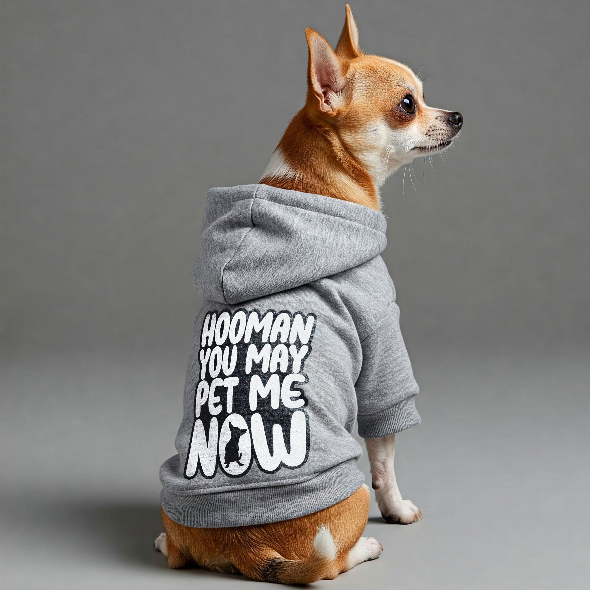 Hooman, you may pet me now - Chihuahua Dog Hoodie