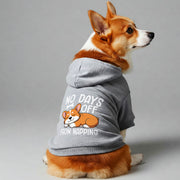 Corgi wearing a 'No Days Off From Napping' hoodie