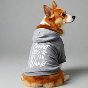 COOLEST DOG IN THE WORLD – Dog Hoodie – Dog Clothes