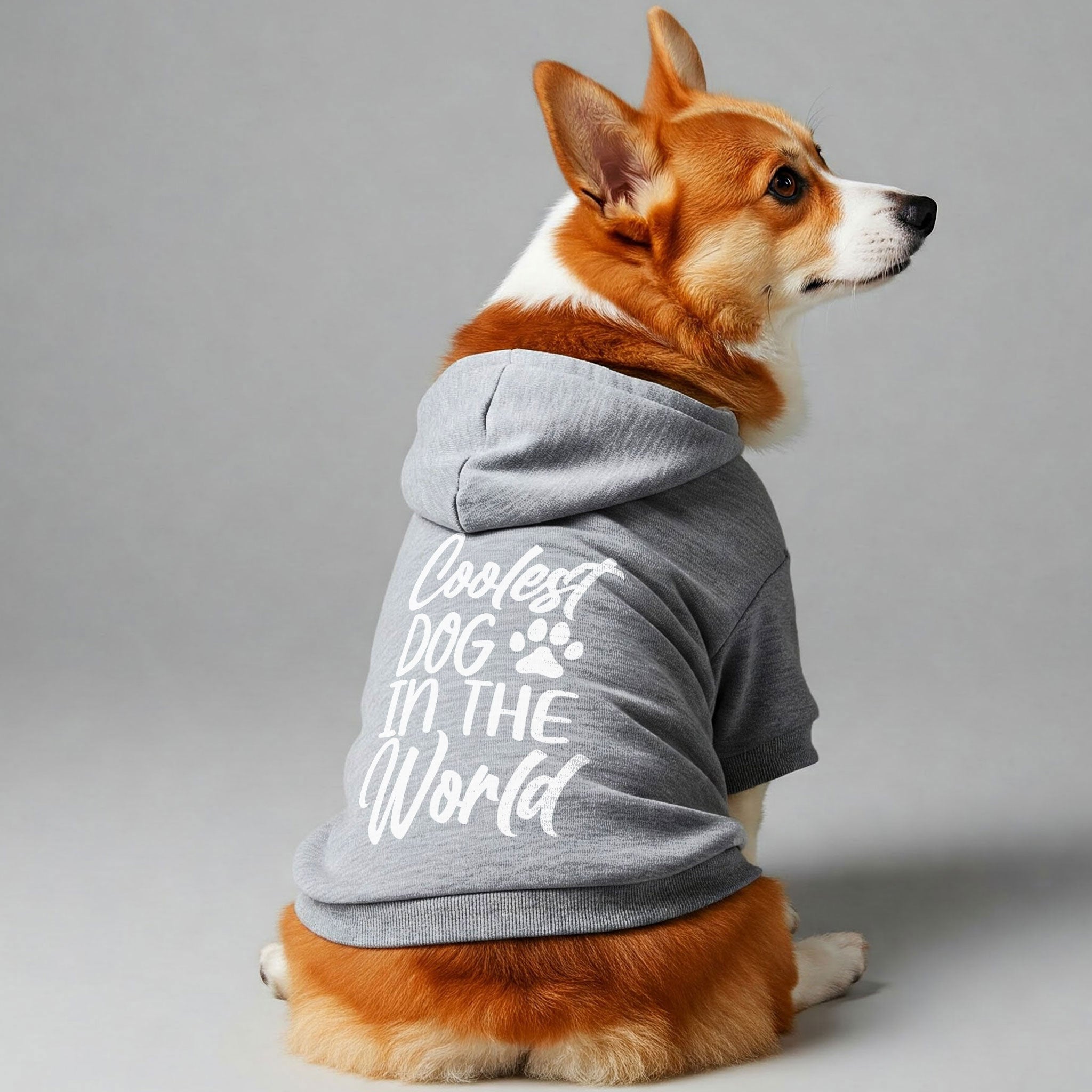 COOLEST DOG IN THE WORLD – Dog Hoodie – Dog Clothes