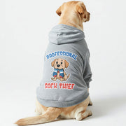 Labrador wearing a 'Professional Sock Thief' hoodie