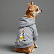 Chihuahua wearing an 'Antidepressant' hoodie