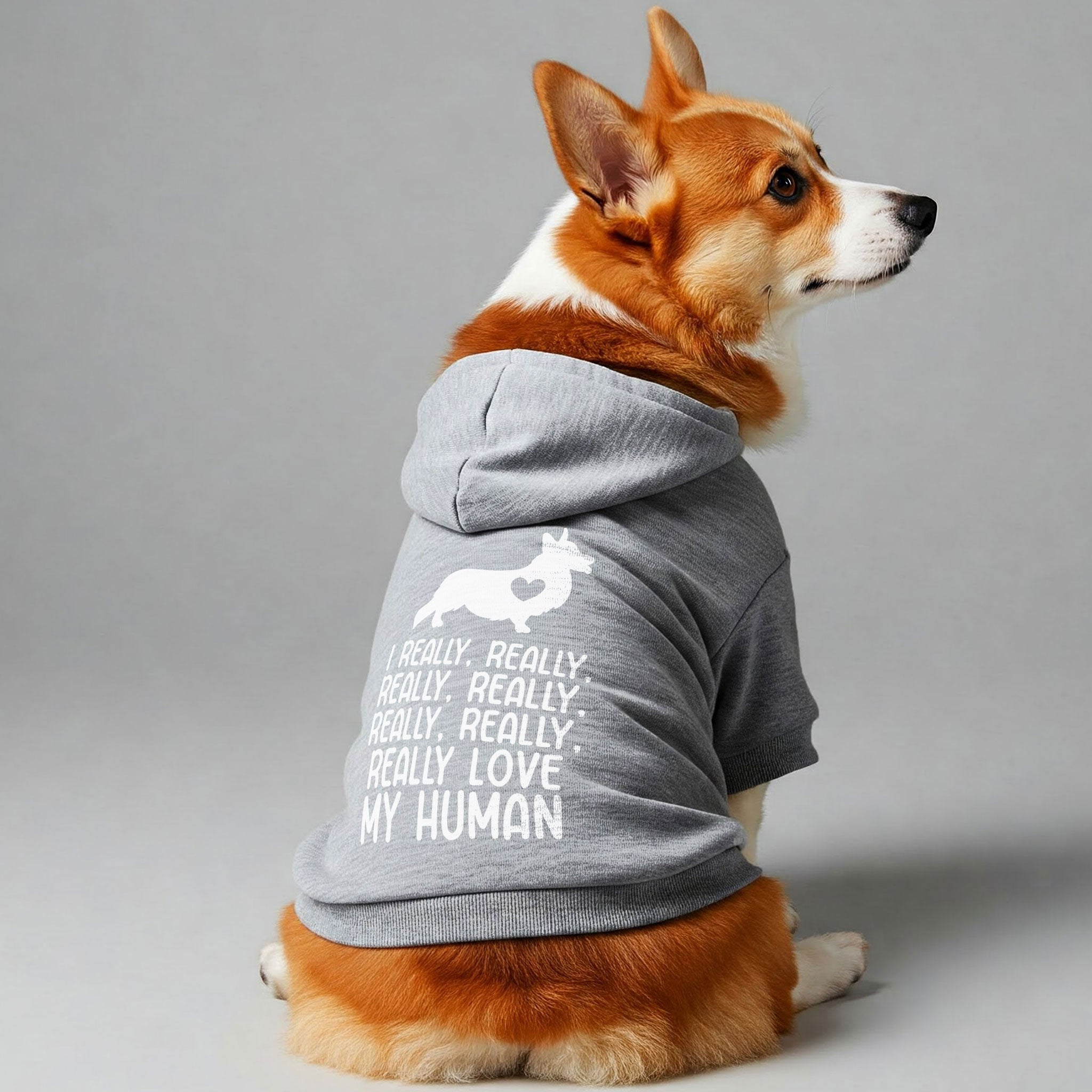 I really, really, really, really, really, really, really love… MY HUMAN - Corgi Hoodie - Dog Clothes