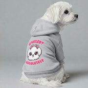 Maltese dog wearing a 'Spoiled? Absolutely' hoodie