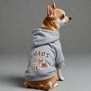 Chihuahua wearing a 'Chaos in Pocket Size' hoodie