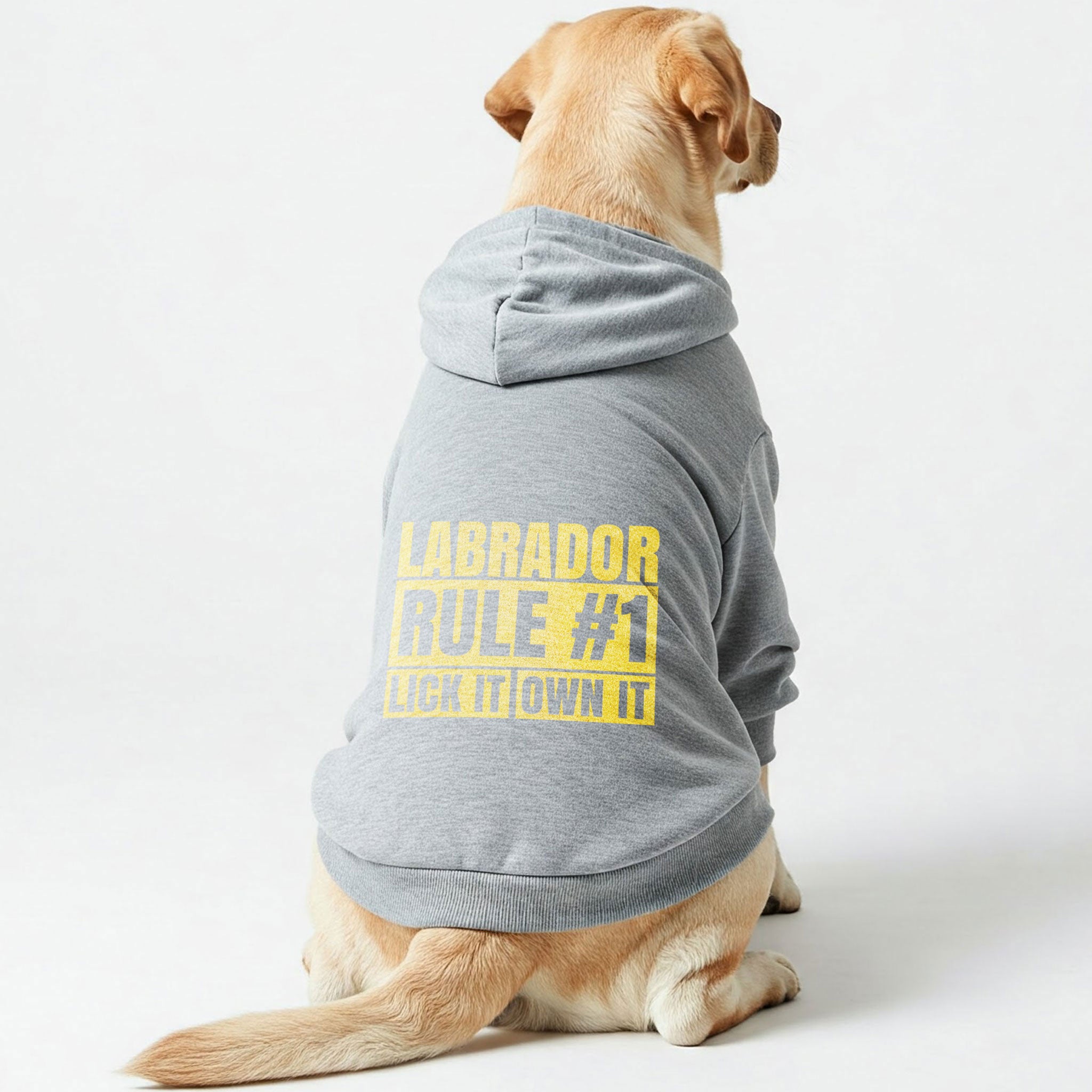 Labrador Rule #1: Lick it, own it - Labrador Hoodie - Dog Clothes