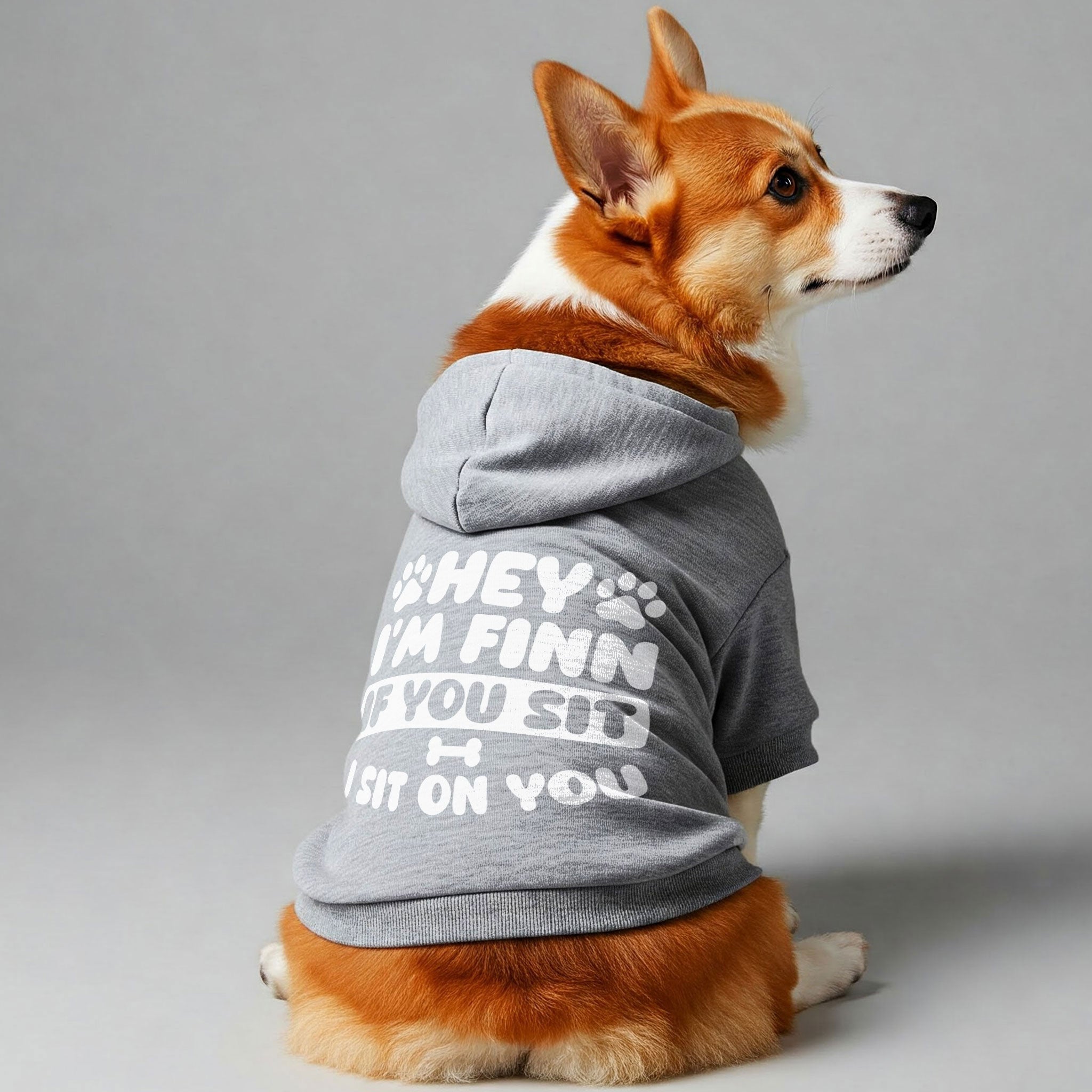 If you sit- personalized hoodie with your dog name – dog hoodie – dog clothes