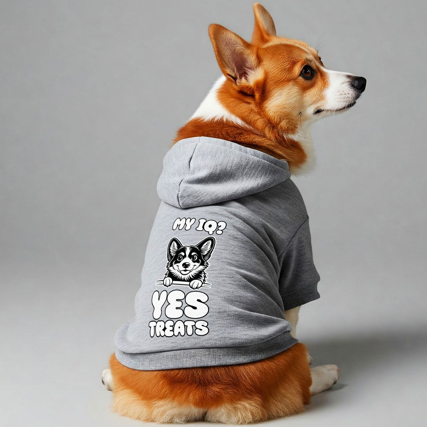 My IQ? Yes, Treats - Corgi Hoodie - Dog Clothes