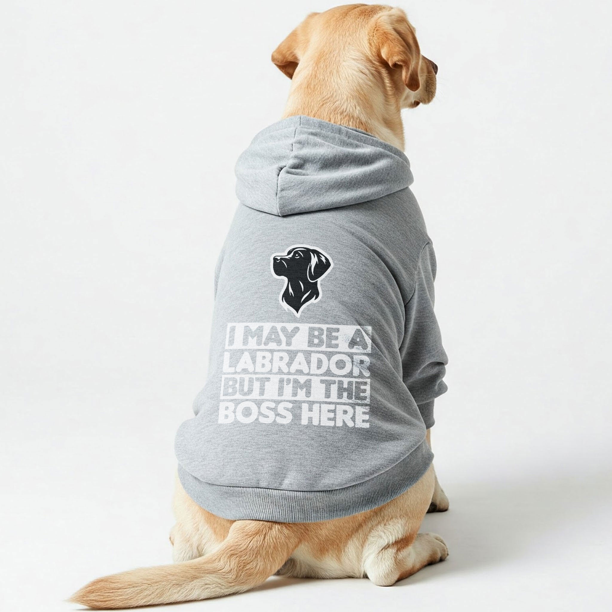 I May Be a Labrador, But I’m the Boss Here - Labrador Hoodie - Dog Clothes