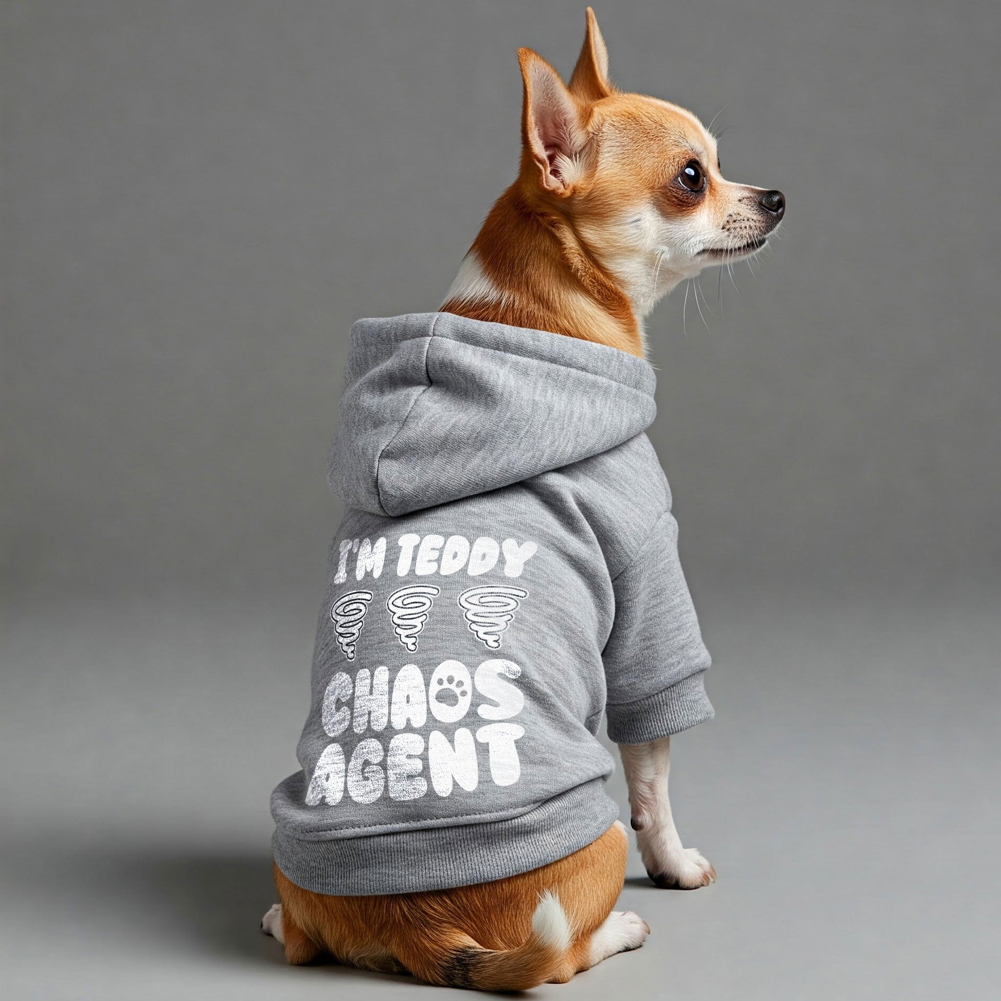 Im TEDDY - chaos agent  - personalized hoodie with your dog name – dog hoodie – dog clothes