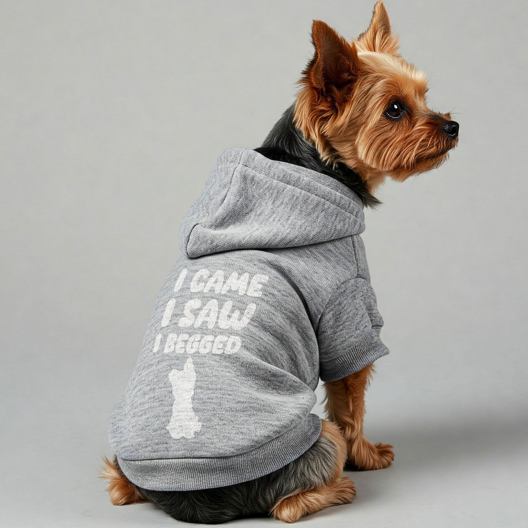 I came. I saw. I begged - Yorkie Hoodie - Dog Clothes