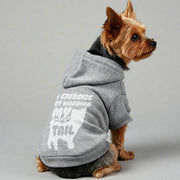 Yorkie wearing an 'I Exercise by Wagging My Tail' hoodie