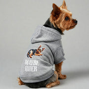Yorkie wearing a 'Maybe Later' hoodie