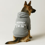 Drama I’m In – Dog Hoodie – Dog Clothes