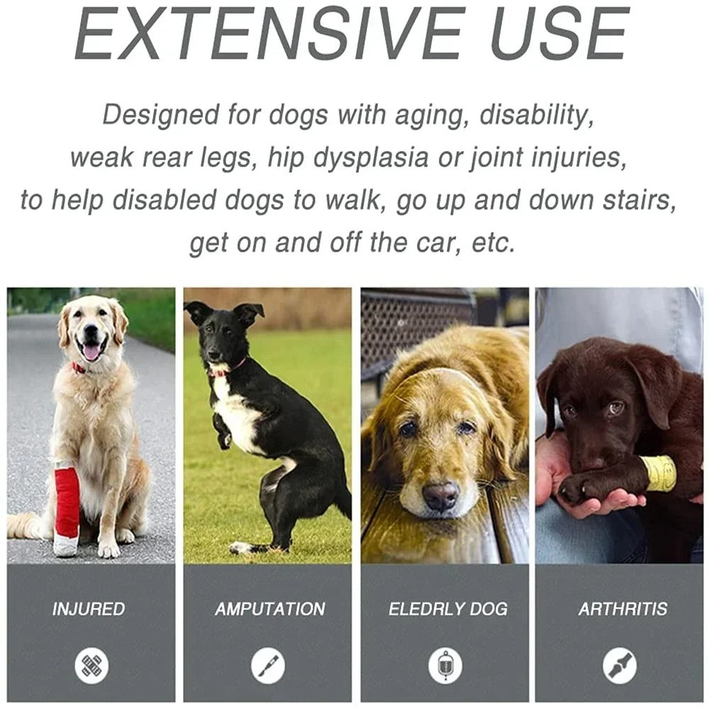harness lift for dogs product details