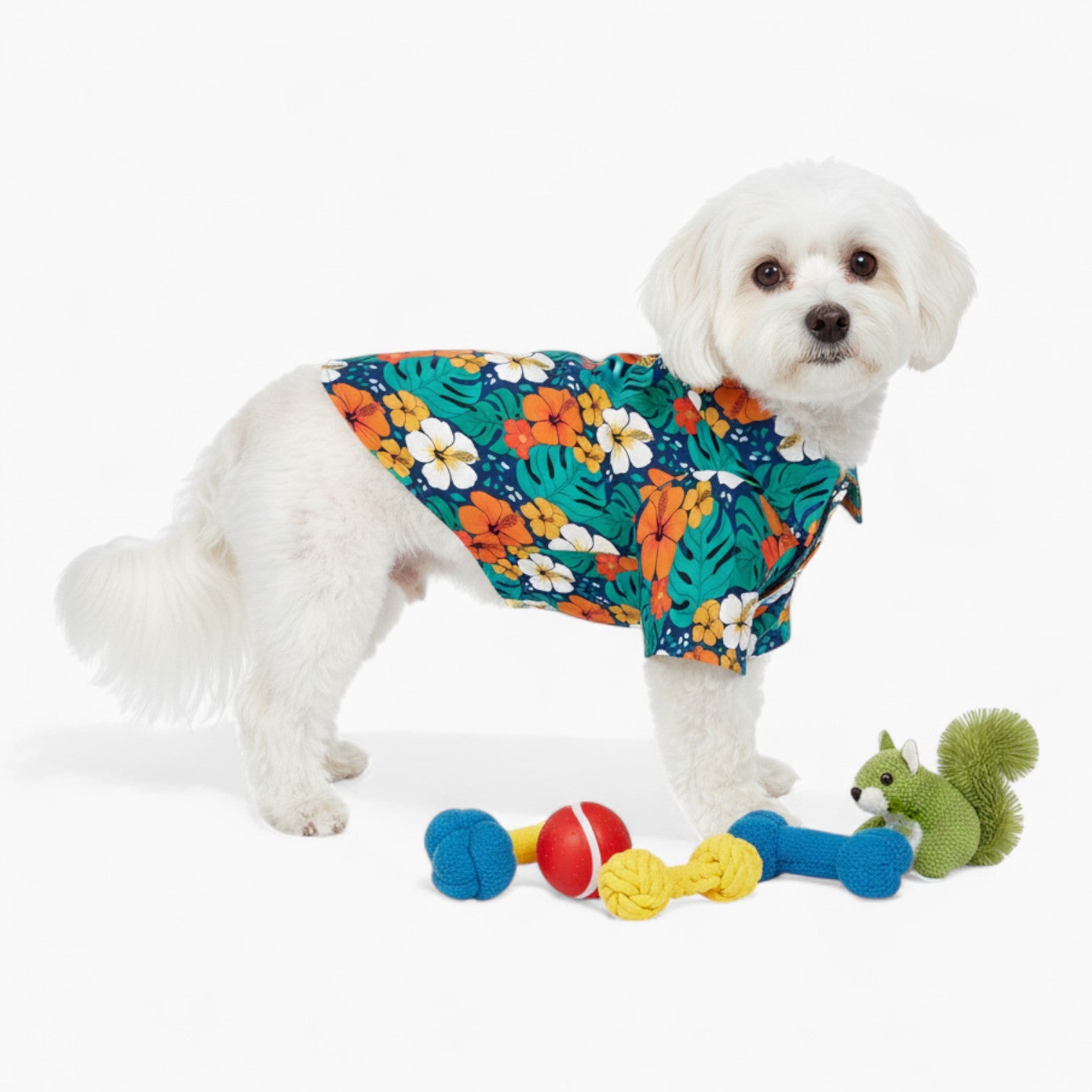 Tongo - Dog Hawaiian Shirt