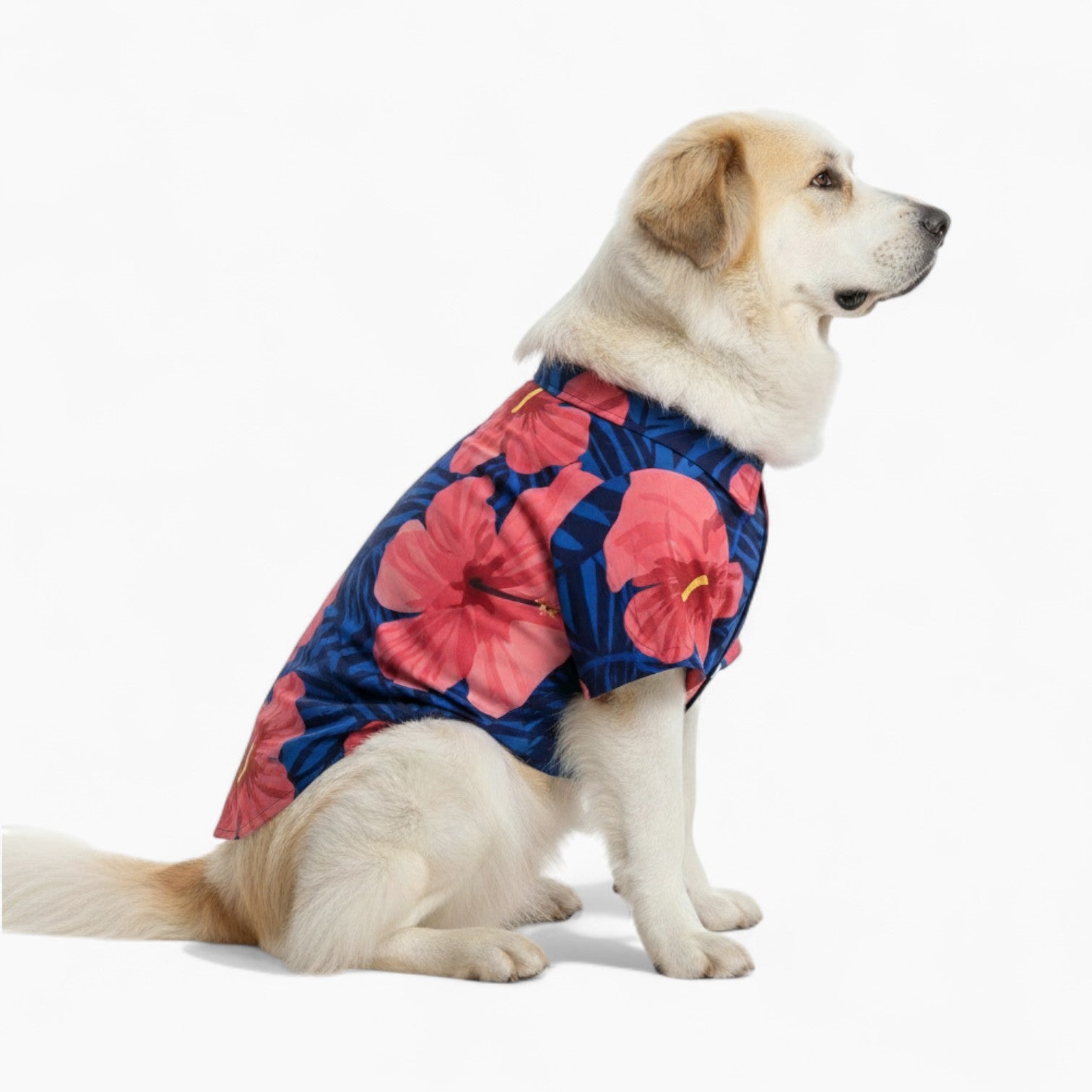 Nala - Dog Hawaiian Shirt