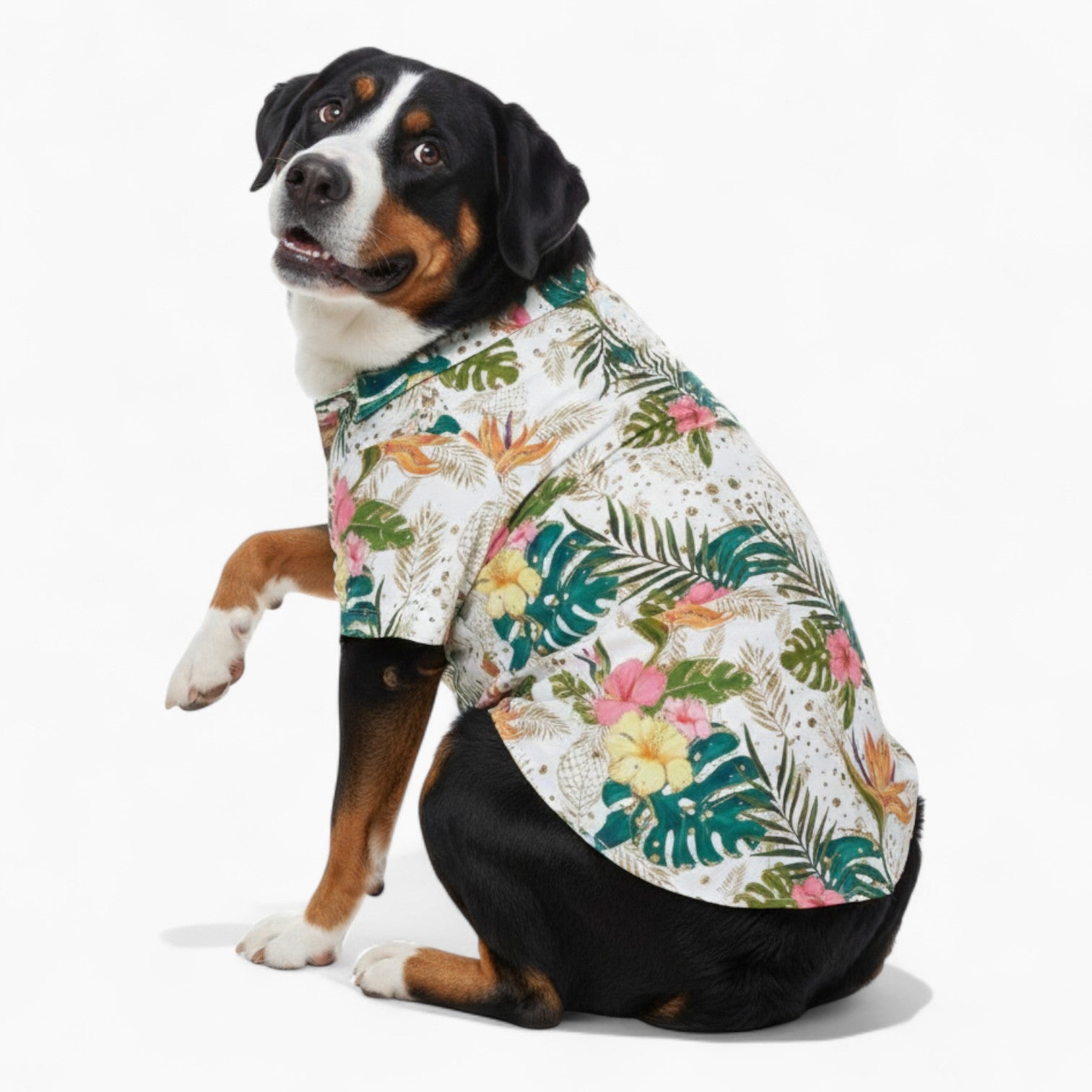 Remy - Dog Hawaiian Shirt