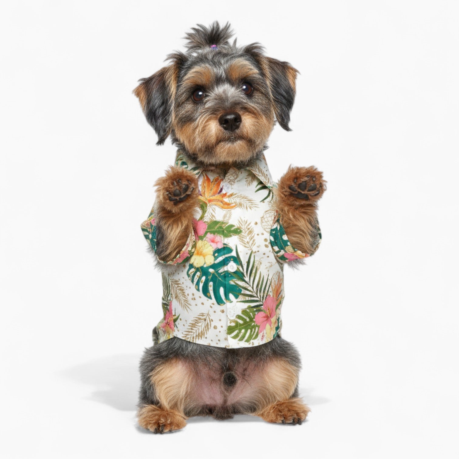 Remy - Dog Hawaiian Shirt