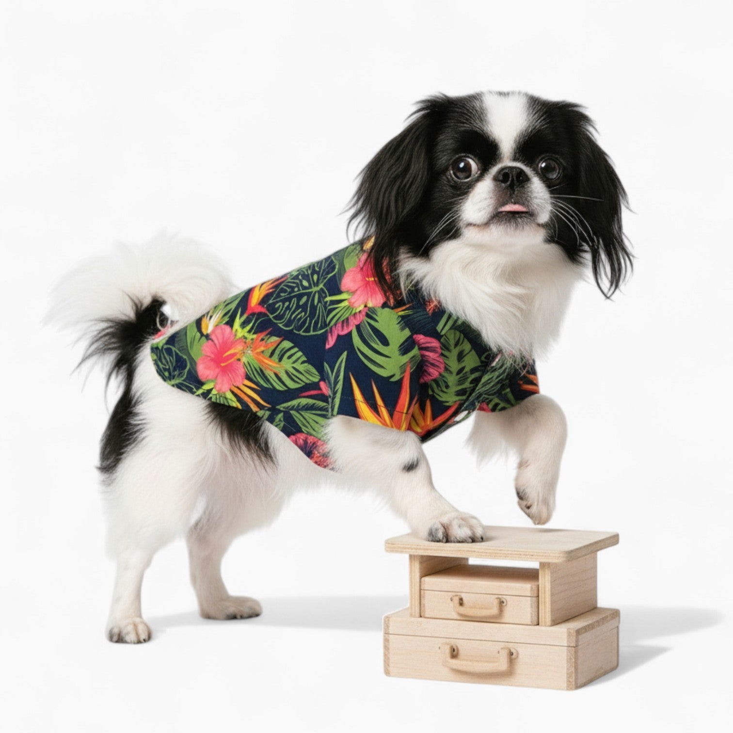 Joly - Dog Hawaiian Shirt