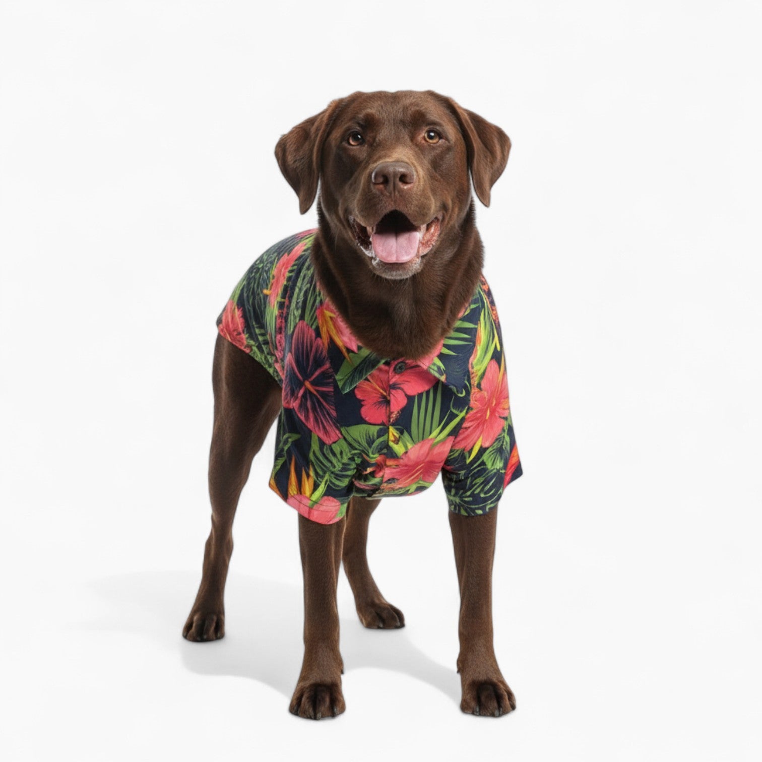Joly - Dog Hawaiian Shirt