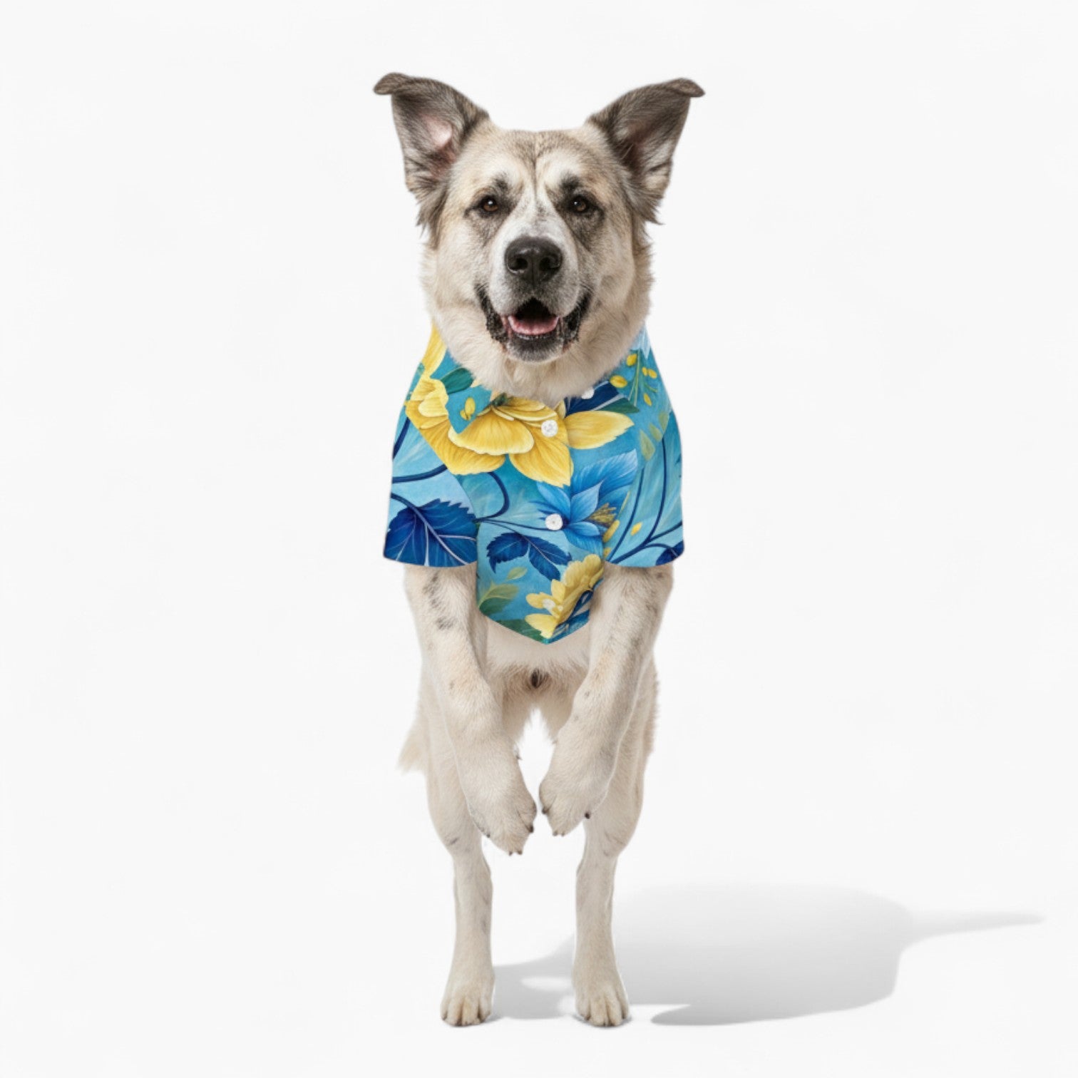 Klara - Dog Hawaiian Shirt