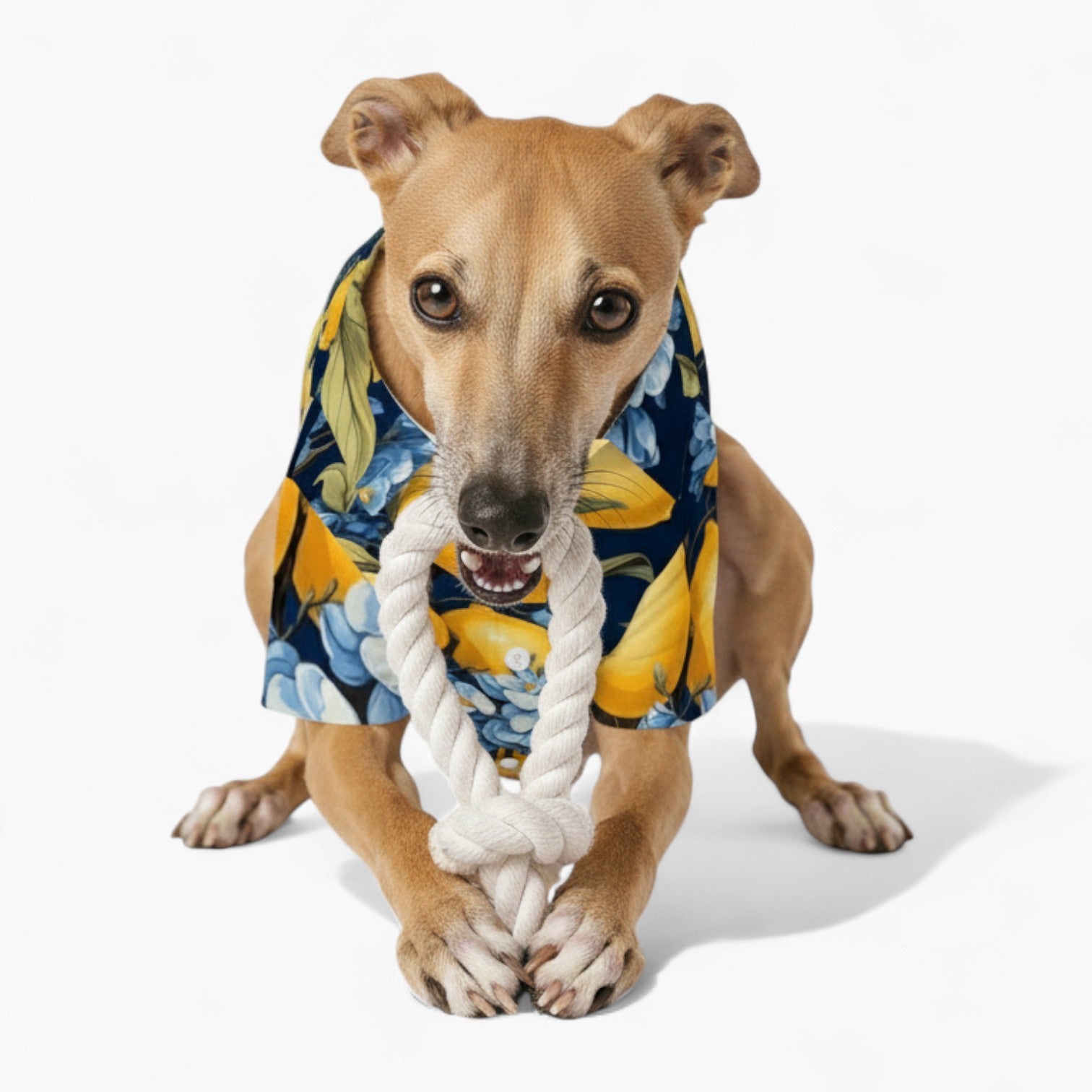 Theo - Dog Hawaiian Shirt