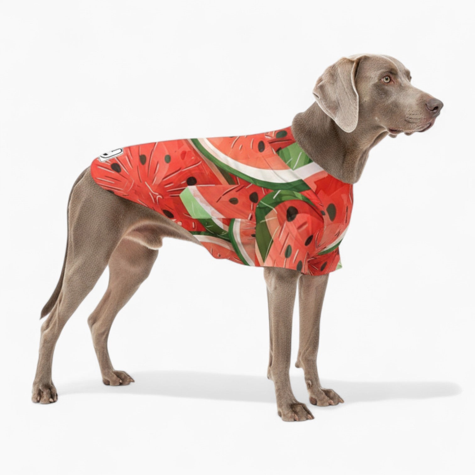 Echo- Dog Hawaiian Shirt