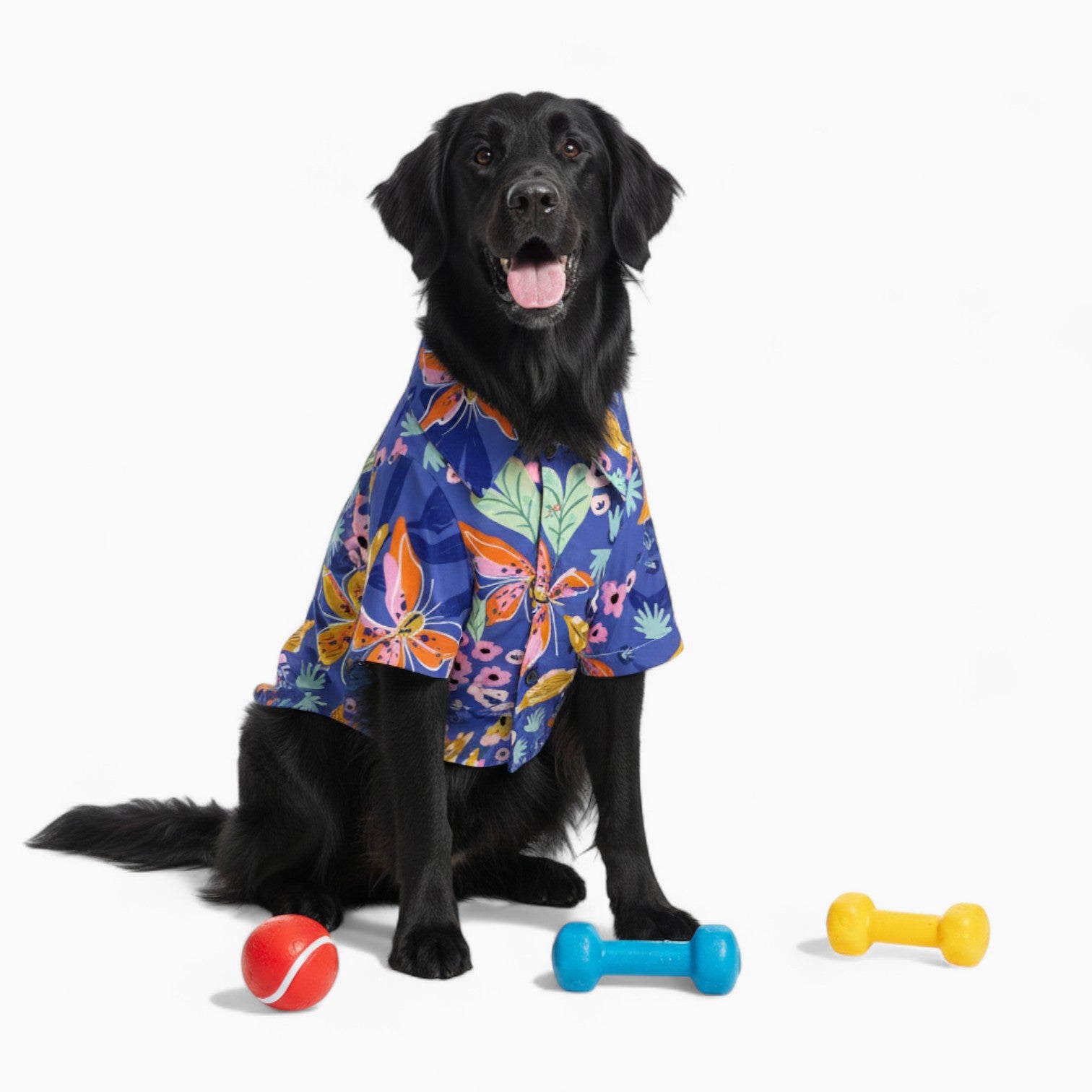 Biscuit - Dog Hawaiian Shirt