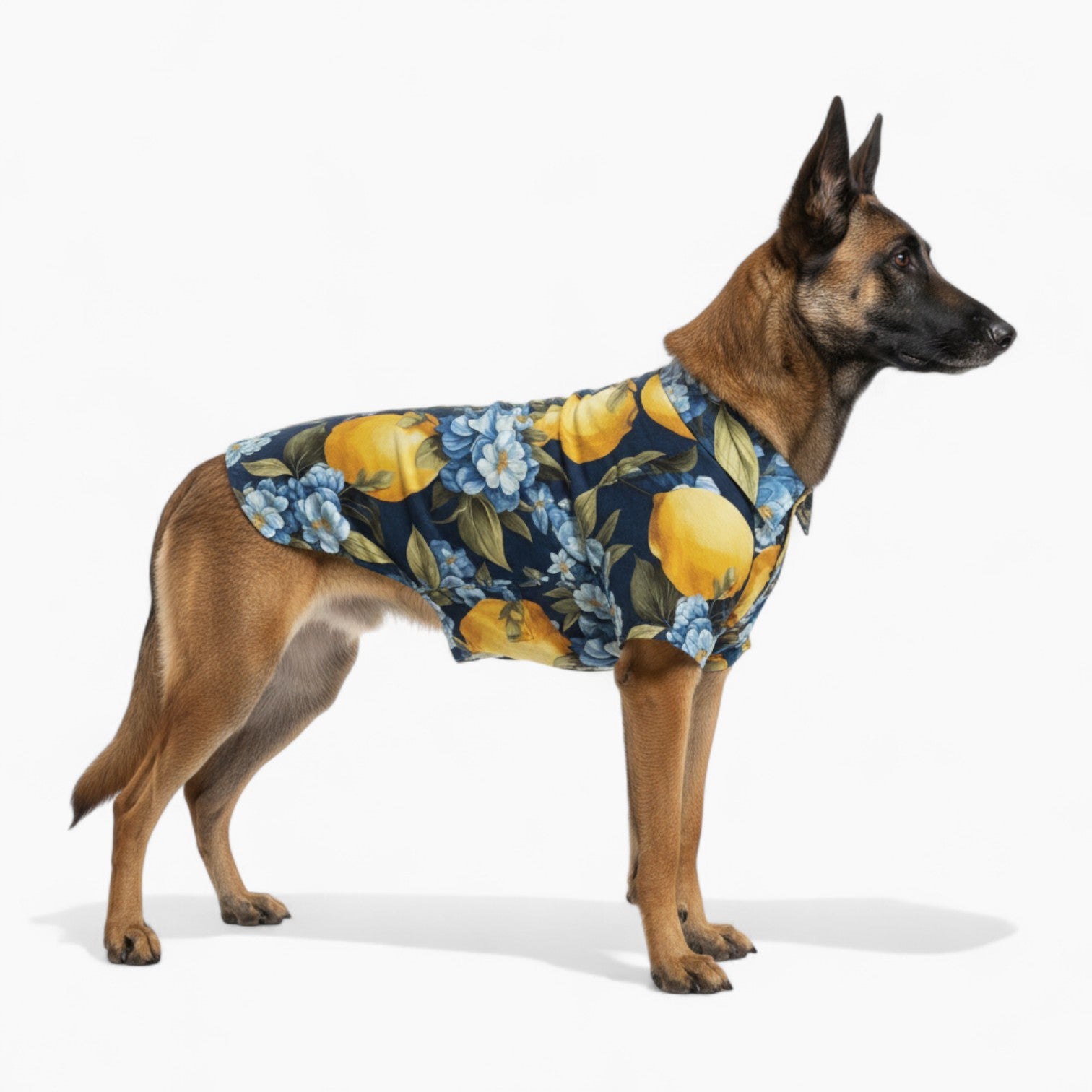 Theo - Dog Hawaiian Shirt