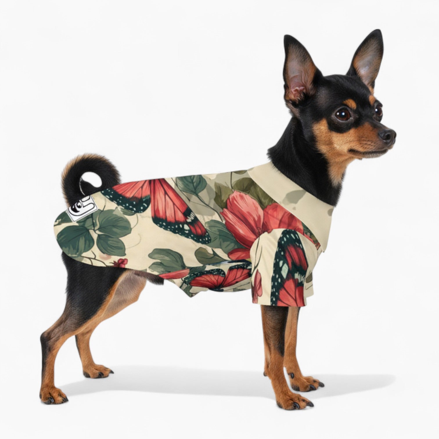 Roux - Dog Hawaiian Shirt