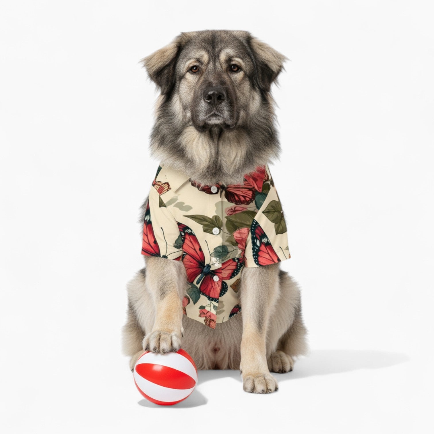 Roux - Dog Hawaiian Shirt