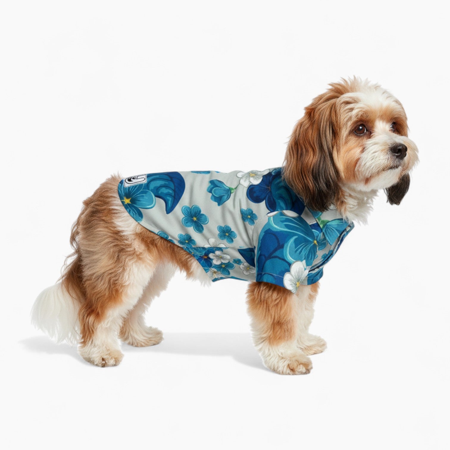 Sofi- Dog Hawaiian Shirt