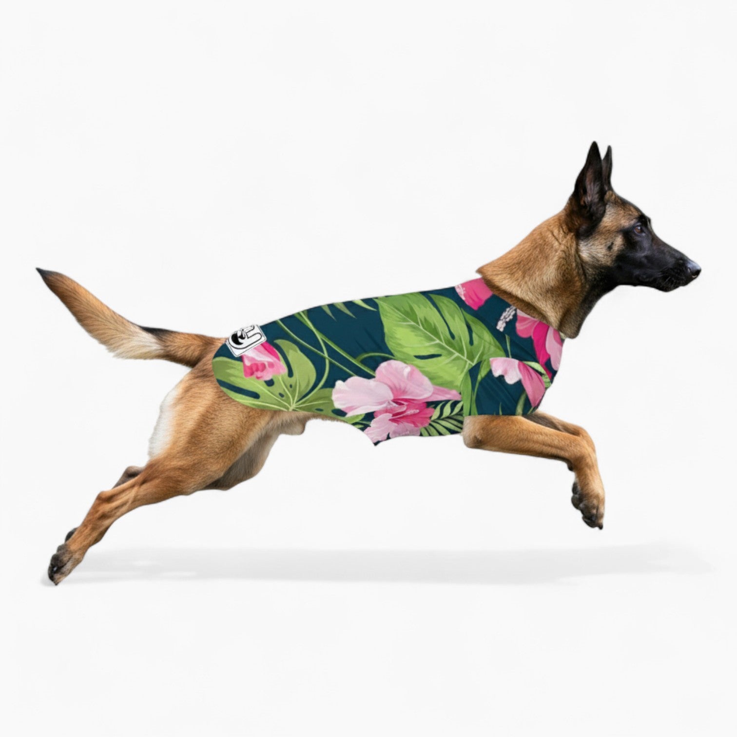 Ziggy - Dog Hawaiian Shirt