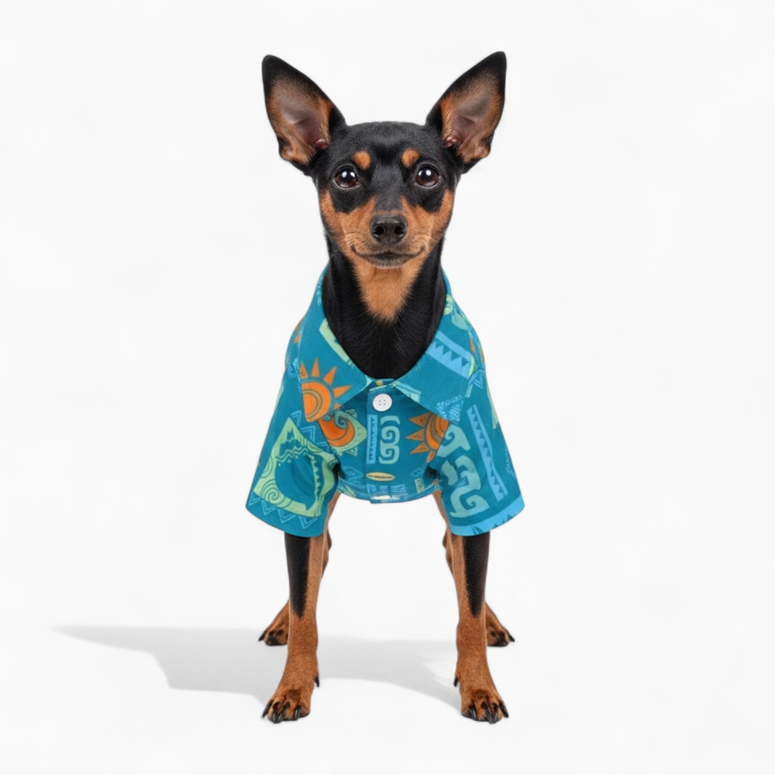 Vito - Dog Hawaiian Shirt