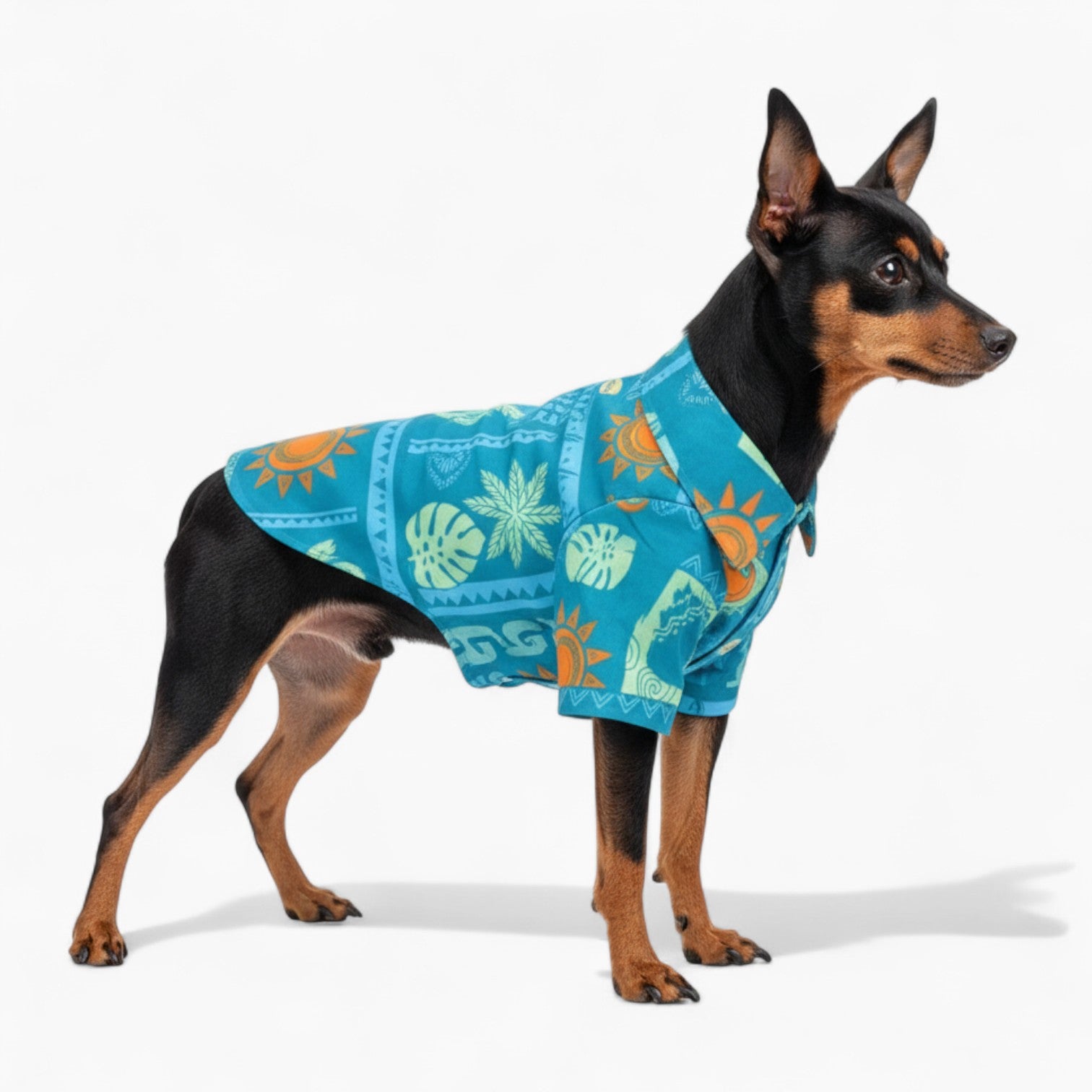 Vito - Dog Hawaiian Shirt