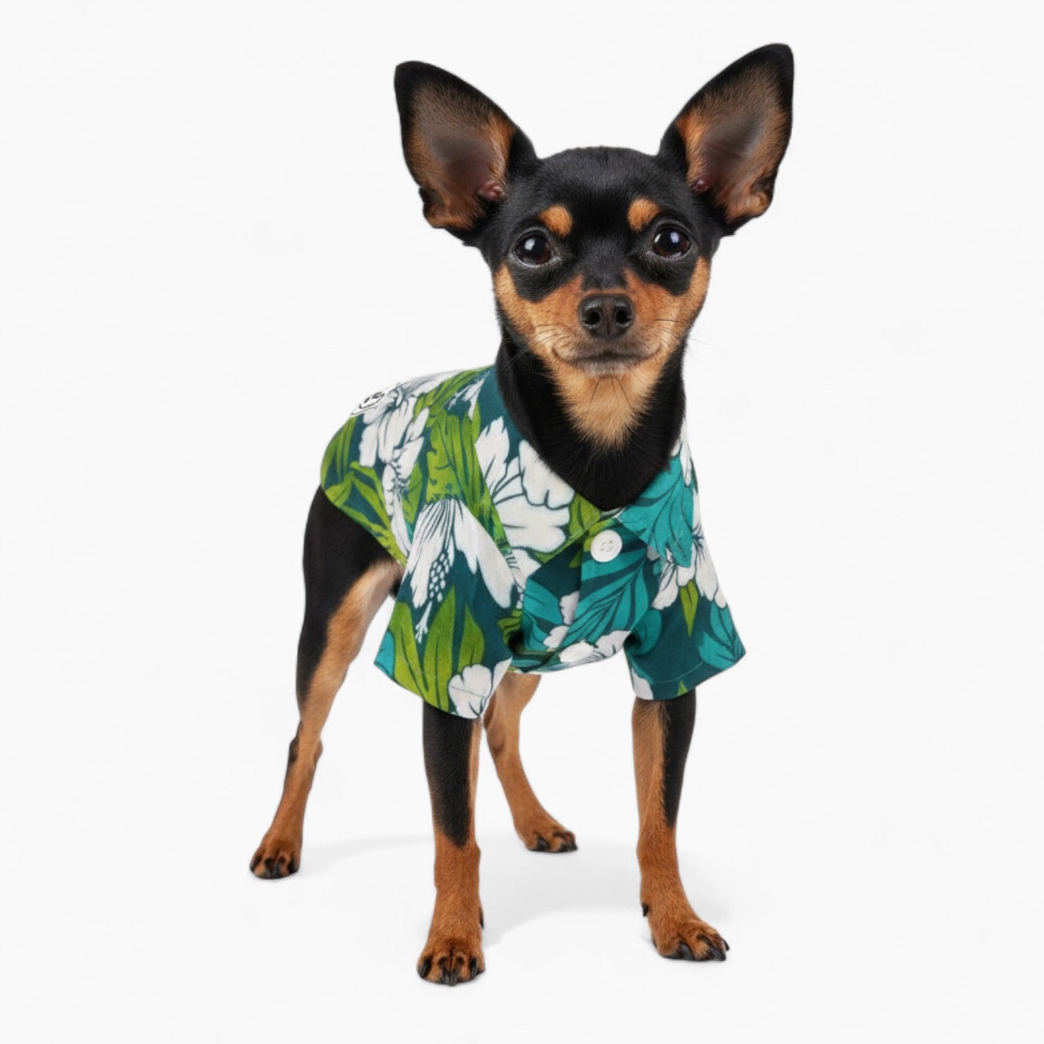 Nico - Dog Hawaiian Shirt
