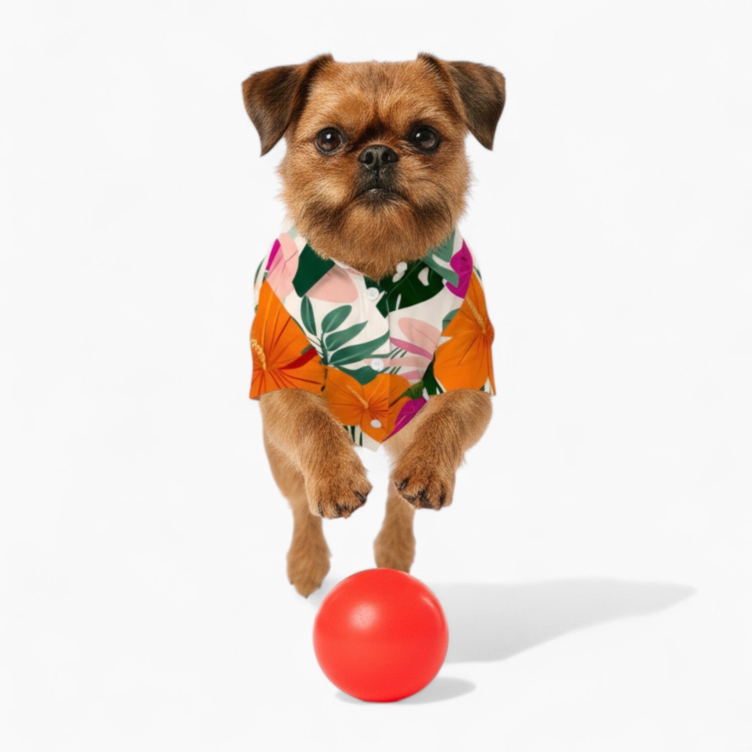 Atlas - Dog Hawaiian Shirt
