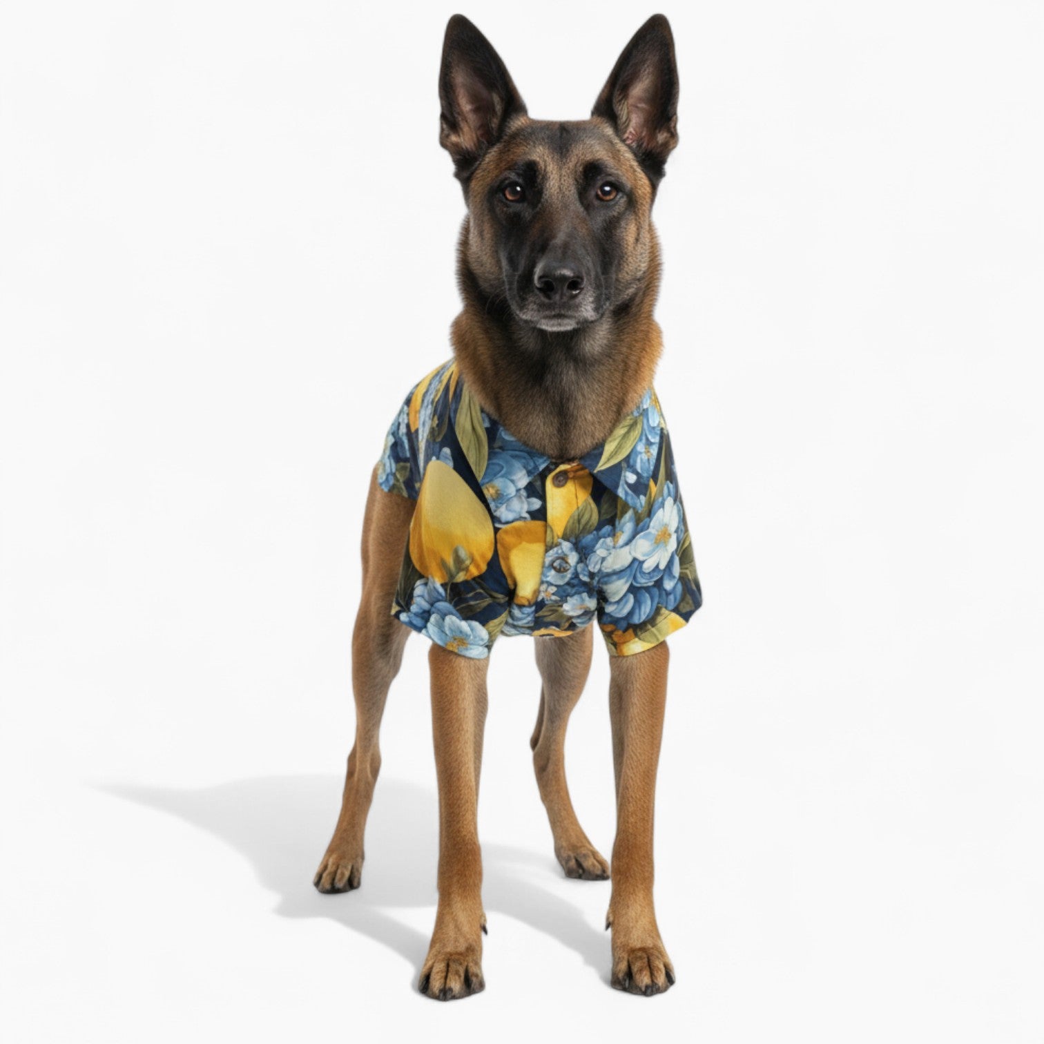 Theo - Dog Hawaiian Shirt